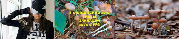 соль курить ск Нефтекумск