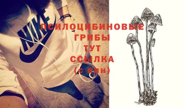 PSILOCYBIN Навашино