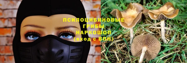 бошки Нефтегорск