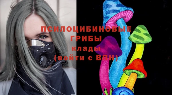 альфа пвп Надым